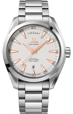 Omega Seamaster Aqua Terra  231.10.42.22.02.001