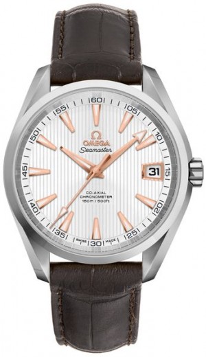 Omega Seamaster Aqua Terra 41.5mm Men's Watch 231.13.42.21.02.002