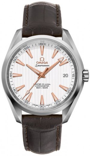 Omega Seamaster Aqua Terra Automatic Men's Watch 231.13.42.21.02.003