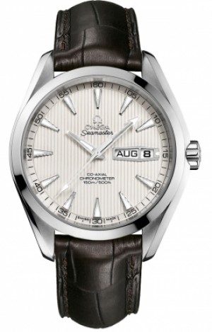 Omega Seamaster Aqua Terra 231.13.43.22.02.001