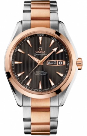 Omega Seamaster Aqua Terra 231.20.43.22.06.001