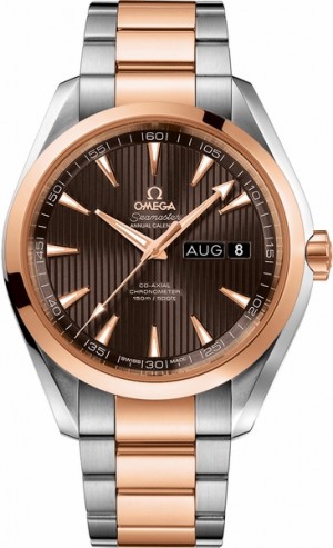 Omega Seamaster Aqua Terra Men's Watch 231.20.43.22.06.002