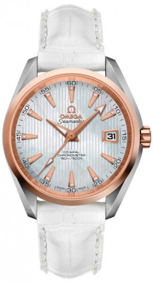 Omega Seamaster Aqua Terra 231.23.39.21.55.001