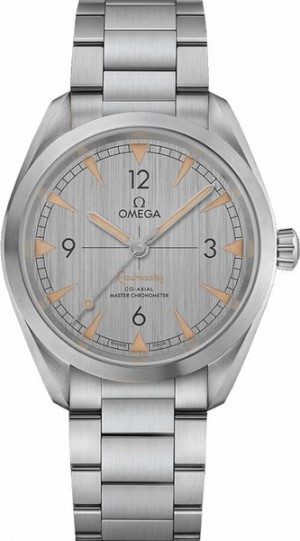 Omega Seamaster Railmaster 40mm Men's Watch 220.10.40.20.06.001