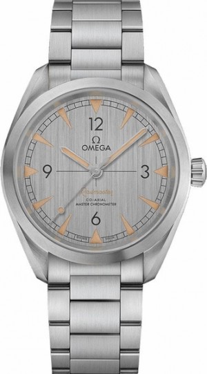 Omega Seamaster Railmaster 40mm Men's Watch 220.10.40.20.06.001
